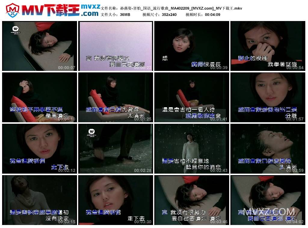 孙燕姿-害怕_国语_流行歌曲_MA402209